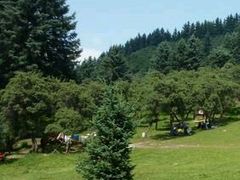 -鹞子沟国家森林公园