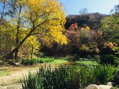 -白水寺森林公园