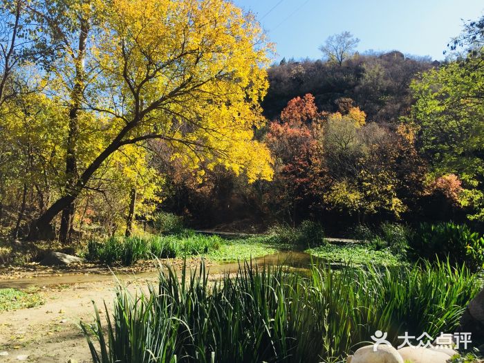 白水寺森林公园图片