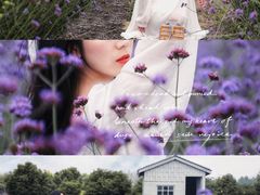 -紫颐香薰山谷景区