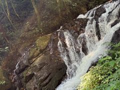 -莫里热带雨林景区