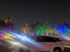 -枫花园汽车电影院(朝阳公园店)