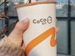 -CoCo都可(广丰月兔广场店)