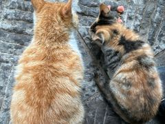 -终南山南五台景区