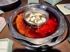 -巴倒烫陆派火锅山庄(南山总店)