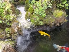 -唐河王记·南阳民间菜(国基路店)