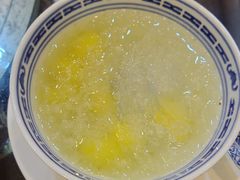 -大中鱼翅 Taitong Shark Fin