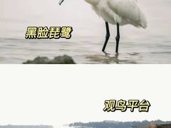 -福田红树林生态公园