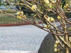 -浙江省博物馆(孤山馆区)