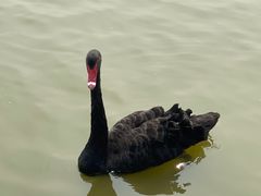 -南大港湿地风景区