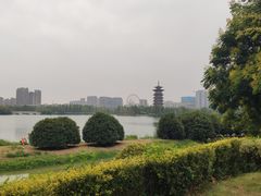 -洋湖国家湿地公园