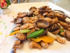 -满福隆酒楼(万绿园店)