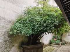 -乌镇东栅景区-茅盾故居