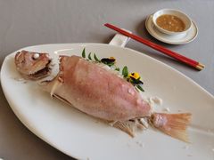 -潮府馆·非遗潮州菜·港式点心(世纪公园店)