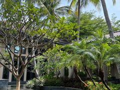 -海南清水湾莱佛士酒店