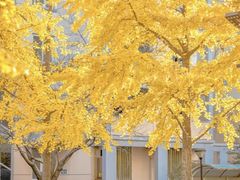 -上海交通大学(闵行校区)