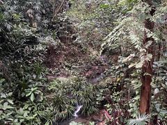 -广州市白云山风景名胜区