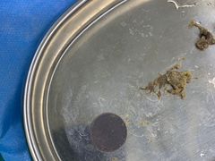 -联合动物医院(光谷诊疗中心)