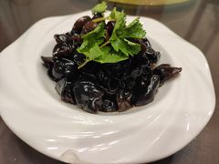 凉拌木耳-呼吸森林·生态农庄农家乐私房菜