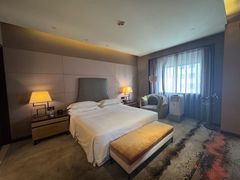 -西安赛瑞喜来登大酒店