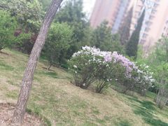 -迎泽公园