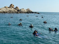 -亚龙湾海底世界