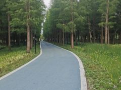 -昆山城市生态森林公园