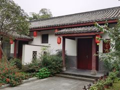 -桂湖森林公园