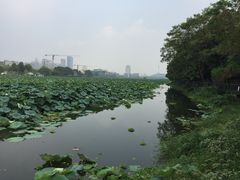 -月湖风景区