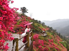 -木兰云雾山