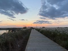 -八分场凉皮老店(正宗)