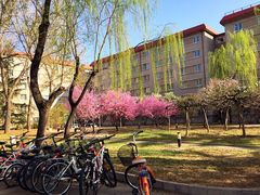 -中国政法大学(昌平校区)