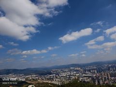 -长虫山生态公园风景林