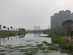 -那考河湿地公园