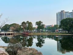 -新江湾城公园
