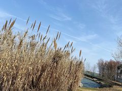 -上海滴水湖皇冠假日酒店