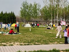 -汉长安城未央宫国家考古遗址公园