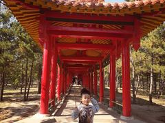 -乌素图国家森林公园