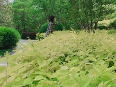 -迎泽公园