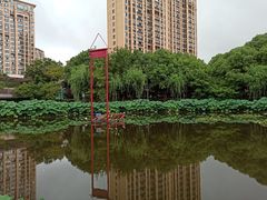 -陈家山荷花公园