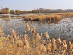 -野鸭湖国家湿地公园