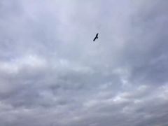 -福冈国际邮轮码头