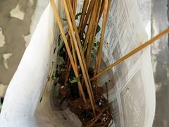 -乐乐姐超级土豆(中关村5号店)