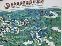 -野象谷景区