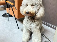 -沏点Trattoria意大利餐厅(新街口店)