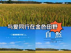-芦潮港集贸市场