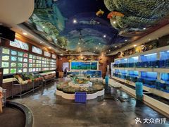 水产区-益利大酒楼(井岸店)