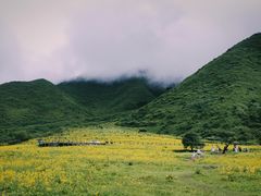 -石棉县孟获城