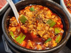 -陈麻婆豆腐总店