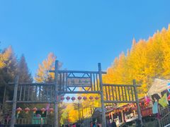 -苏木山森林公园